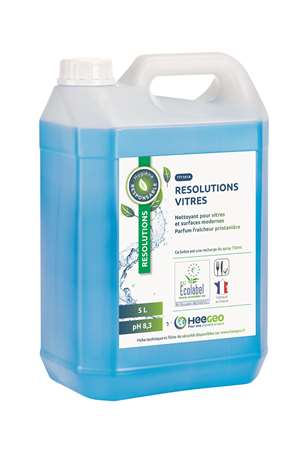 Image de RESOLUTIONS VITRE 5L