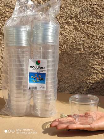 Image de COUPE + COUV BODEGA 25 CL PACK DE 30