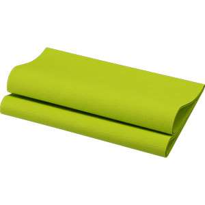 Image de DUNILETTO SLIM KIWI BIO-DUNISOFT 40X33CM/201158