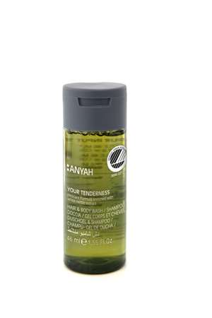 Image de GEL CHEVEUX & CORPS ANYAH ECOLABEL (46MLX216)/P52RM2AY/SCU