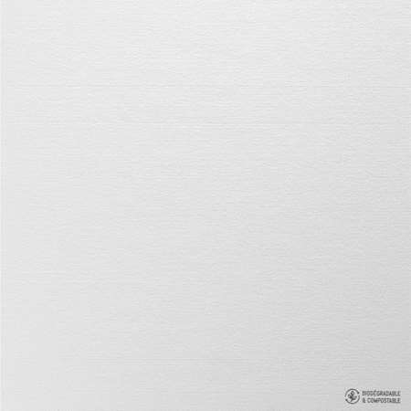 Image de SDT 40x40 BLANC CELYTISS COLIS DE 400/782010